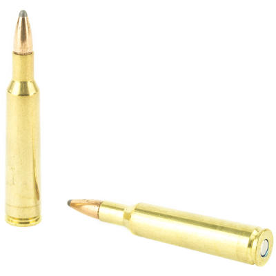 Federal Ammo Power-Shok 6mm Remington SP 100 Grain