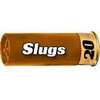 20 Gauge Slug Loads
