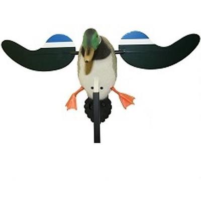 Mojo Decoy Baby Mallard Drake 6V Rechargeable Batt