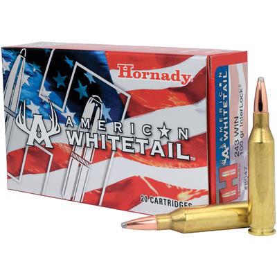 Hornady Ammo Amer Whitetail 243 Winchester 100 Gra