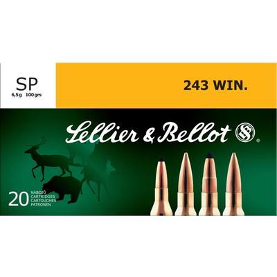 Magtech Ammo Hunting Rifle 243 Win. 100 Grain 20 R