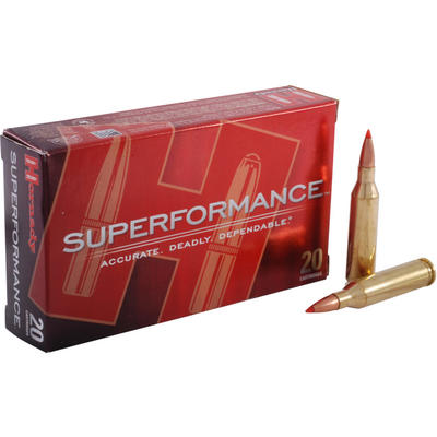 Hornady Ammo Super Shock Tip 243 Winchester SST 95