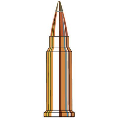 Hornady Rimfire Ammo 17 Mach 2 (HM2) Non-Toxic Lea