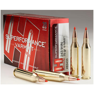 Hornady Ammo Superformance Varmint 243 Win 75 Grai