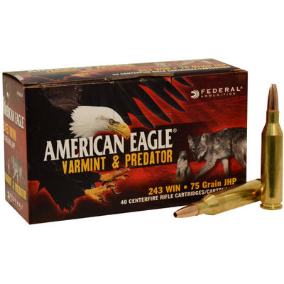 Federal Ammo American Eagle 243 Winchester 75 Grai