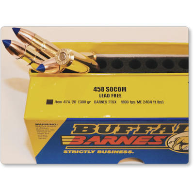 Buffalo Bore Ammo 458 SOCOM 300 Grain TSX 20 Round