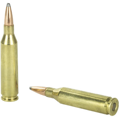 Winchester Ammo Super-X 243 Winchester 100 Grain P