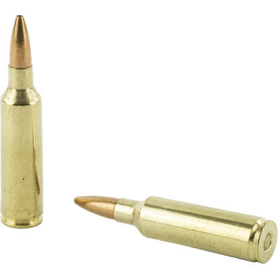 Winchester Ammo Super-X 270 WSM 130 Grain Power Ma