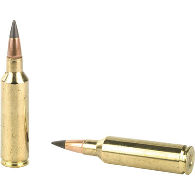 Winchester Ammo XP 270 WSM 130 Grain Extreme Point