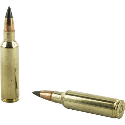 Winchester Ammo XP 300 WSM 150 Grain Extreme Point