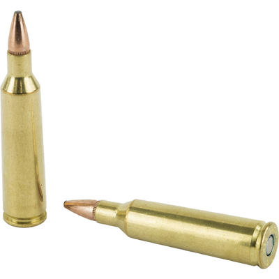 Federal Ammo Fusion 22-250 Remington Fusion 55 Gra