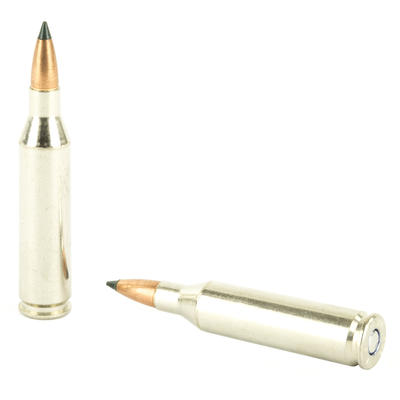 Federal Ammo Vital-Shok 243 Winchester Trophy Copp