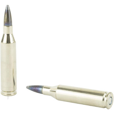 Federal Ammo Vital-Shok 243 Winchester Nosler Part Federal Ammo Vital-Shok 243 Winchester Nosler Part
