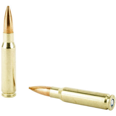 Federal Ammo 308 Winchester Sierra MatchKing BTHP
