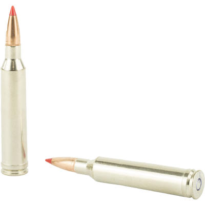 Federal Ammo Vital-Shok 7mm Magnum Nosler Ballisti