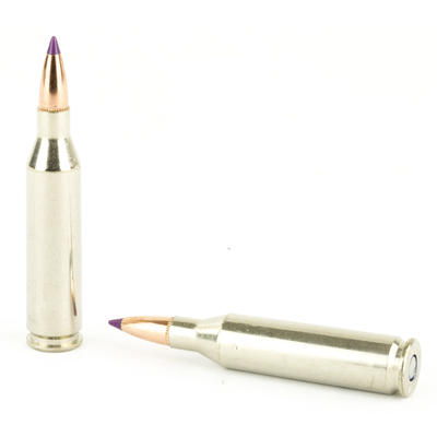 Federal Ammo 243 Winchester Nosler Ballistic Tip 5