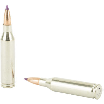 Federal Ammo Vital-Shok 243 Winchester Nosler Ball