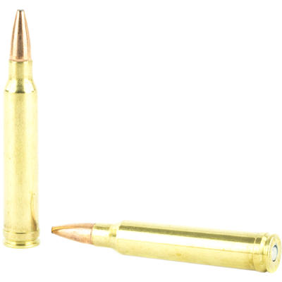 Federal Ammo Fusion 300 Win Mag Fusion 165 Grain 2