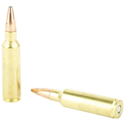 Federal Ammo Fusion 300 WSM Fusion 165 Grain 20 Ro