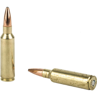 Federal Ammo Fusion 300 WSM Fusion 180 Grain 20 Ro