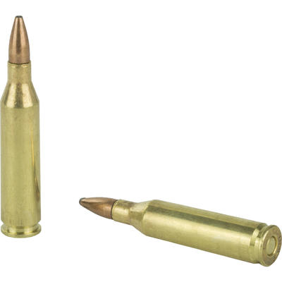 Remington Ammo 243 Winchester 80 Grain PSP 20 Roun