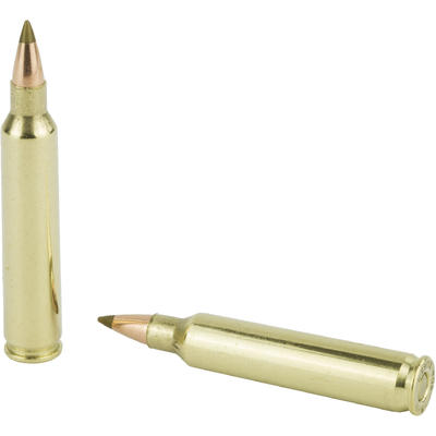 Remington Ammo 204 Ruger AccuTip 40 Grain 20 Round