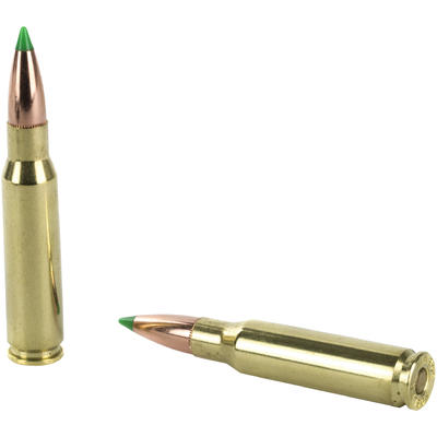 Nosler Ammo Hunting 308 Win 165 Grain 20 Rounds [4 Nosler Ammo Hunting 308 Win 165 Grain 20 Rounds [4