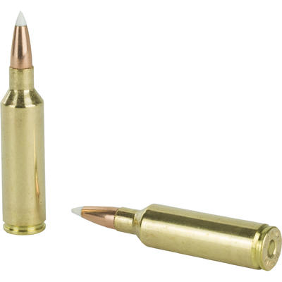 Nosler Ammo Trophy 270 WSM 140 Grain AccuBond 20 R