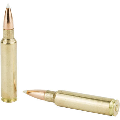 Nosler Ammo Trophy Grade 33 Nosler 225 Grain Parti