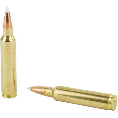 Nosler Ammo Trophy Grade 30 Nosler 180 Grain AccuB