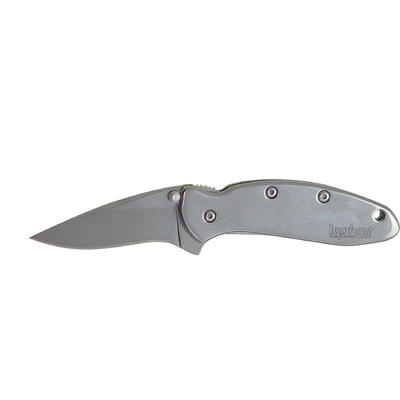 Kershaw Knife Chive Folder 420 Stainless Wharnclif