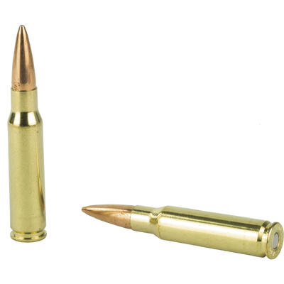 Hornady Ammo Match 308 Winchester BTHP/Match 178 G Hornady Ammo Match 308 Winchester BTHP/Match 178 G