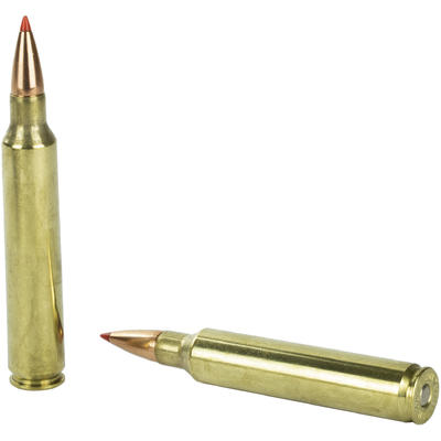 Hornady Ammo GMX 300 RUM 180 Grain GMX 20 Rounds [