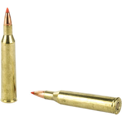 Hornady Ammo 220 Swift V-Max 55 Grain 20 Rounds [8