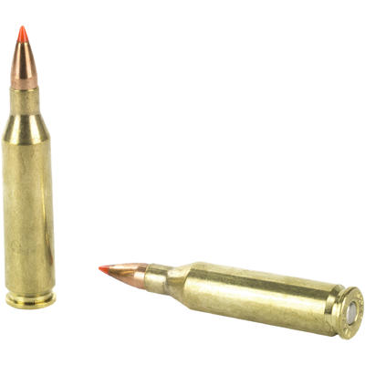 Hornady Ammo 243 Winchester V-Max 58 Grain 20 Roun Hornady Ammo 243 Winchester V-Max 58 Grain 20 Roun