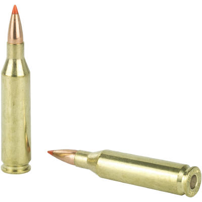 Hornady Ammo Custom Lite SST 243 Winchester SST 87