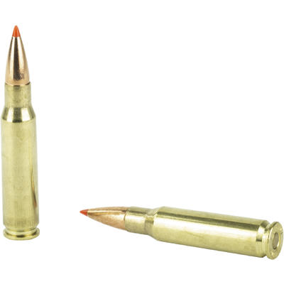 Hornady Ammo Boar 308 Win 165 Grain GMX 20 Rounds Hornady Ammo Boar 308 Win 165 Grain GMX 20 Rounds