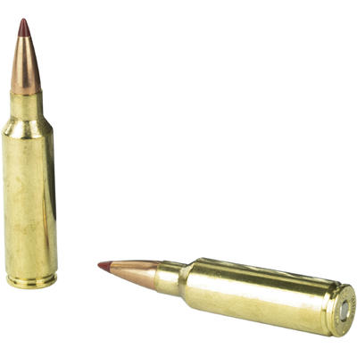 Hornady Ammo Precision Hunter 300 WSM 200 Grain EL