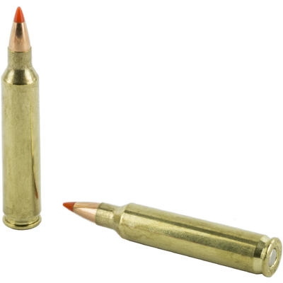 Hornady Ammo 204 Ruger V-Max 32 Grain 20 Rounds [8