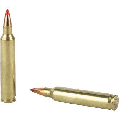 Hornady Ammo Superformance 204 Ruger V-Max 40 Grai