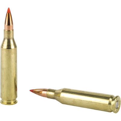 Hornady Ammo Superformance Varmint 243 Win 75 Grai