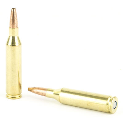 Federal Ammo Power-Shok 243 Winchester 85 Grain Co