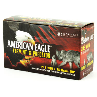 Federal Ammo American Eagle 243 Winchester 75 Grai