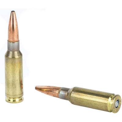 Federal Ammo Fusion MSR 6.5 Grendel 120 Grain SP 2