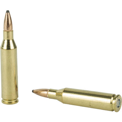 Federal Ammo Non-Typical 243 Winchester 100 Grain