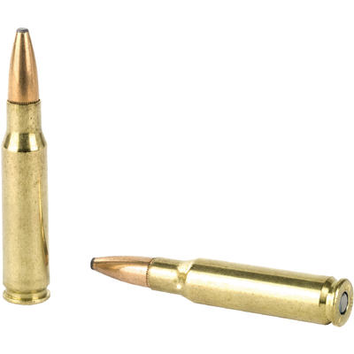 Federal Ammo Non-Typical 308 Winchester 180 Grain