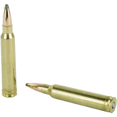 Federal Ammo Non-Typical 300 Win Mag 180 Grain SP