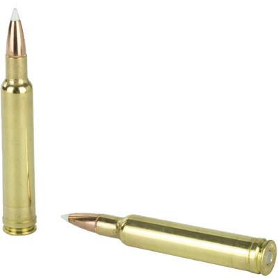 Weatherby Ammo 300 Weatherby Magnum Nosler AccuBon