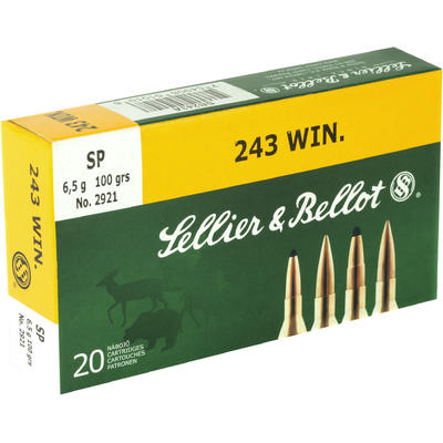 Magtech Ammo Hunting Rifle 243 Win. 100 Grain 20 R