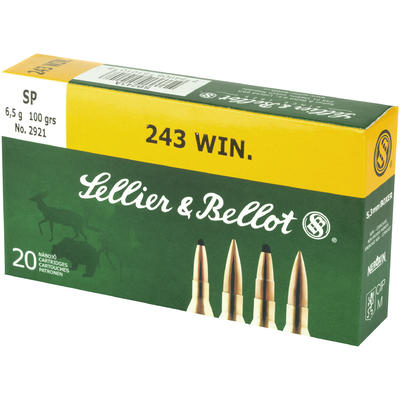 Magtech Ammo Hunting Rifle 243 Win. 100 Grain 20 R